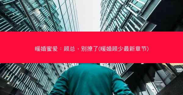 暖婚蜜爱：顾总，别撩了(暖婚顾少最新章节)