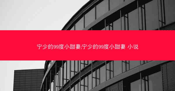 宁少的99度小甜妻;宁少的99度小甜妻 小说