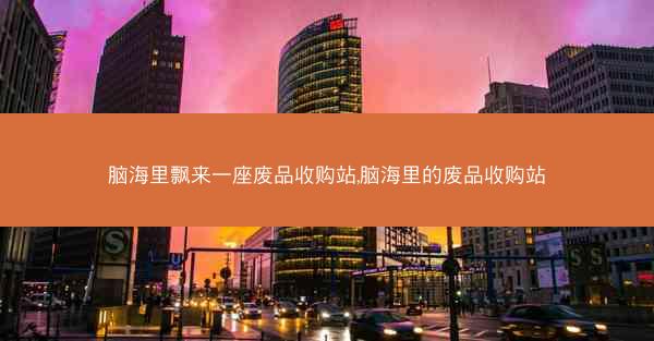 脑海里飘来一座废品收购站,脑海里的废品收购站