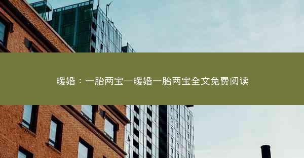 暖婚：一胎两宝—暖婚一胎两宝全文免费阅读