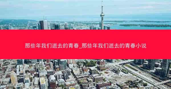 那些年我们逝去的青春_那些年我们逝去的青春小说