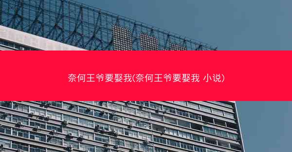 奈何王爷要娶我(奈何王爷要娶我 小说)