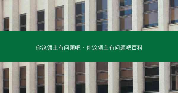 你这领主有问题吧、你这领主有问题吧百科