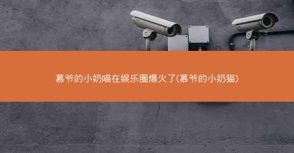 慕爷的小奶喵在娱乐圈爆火了(慕爷的小奶猫)