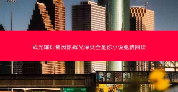 眸光璀灿皆因你;眸光深处全是你小说免费阅读